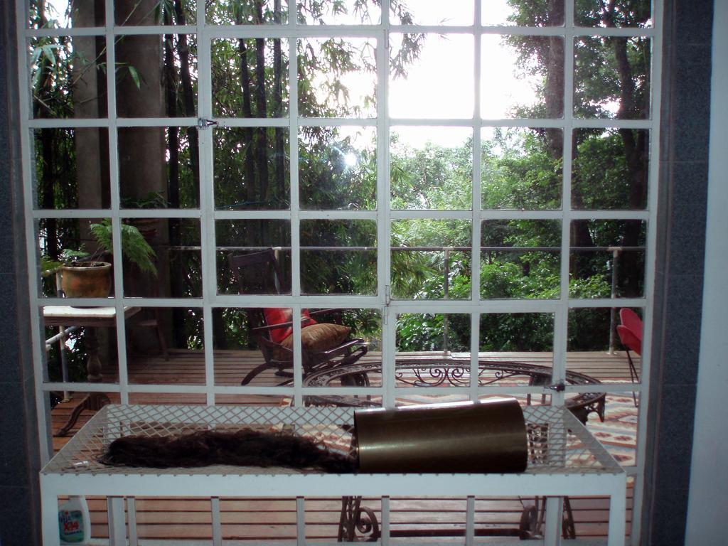 B&B Vitoria Regia Rio de Janeiro Rum bild
