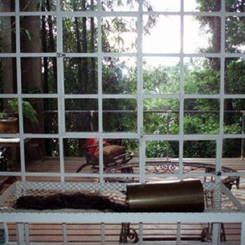 B&B Vitoria Regia Rio de Janeiro Exteriör bild